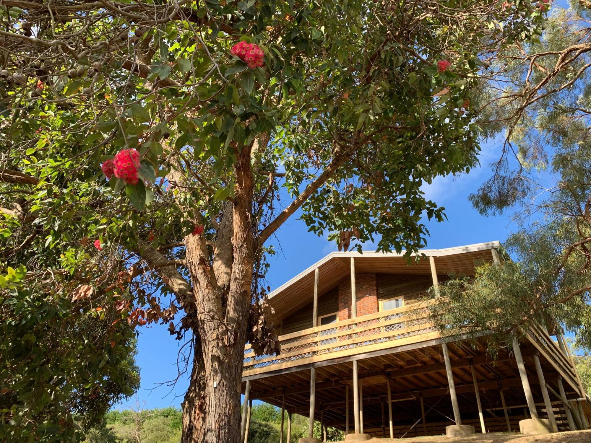 Iluka Retreat Glamping Village Red Hill South Exterior photo